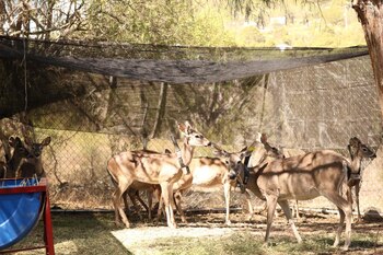 La Semarnat de Hidalgo decretó