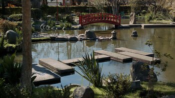 Guía de Arte y Cultura: semana del 6 al 13 de junio