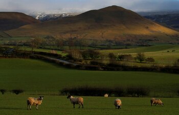 Cumbria, en el noroeste de Inglaterra, es reconocida por su gastronomía basada en productos autóctonos y su arraigo en la tradición local (REUTERS/Phil Noble)