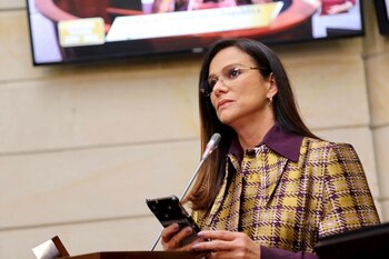 La presidenta del CNE, Maritza