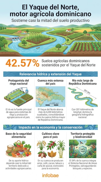 Infografía con ilustraciones de un río, represas, campos de cultivo, un mapa, porcentajes, íconos de riego, productos agrícolas, alimentos y un bosque.