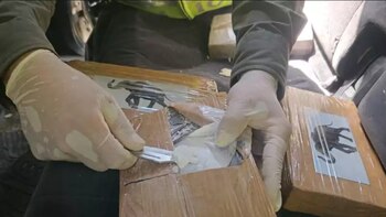 Además del protegido de la