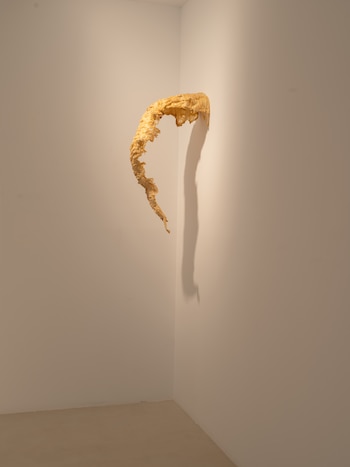 Una muestra dedicada a Gisele