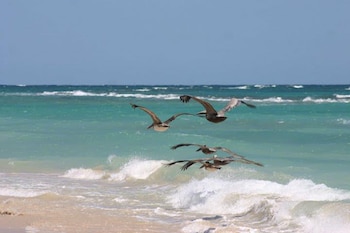 Crédito: Comisión Nacional de Áreas