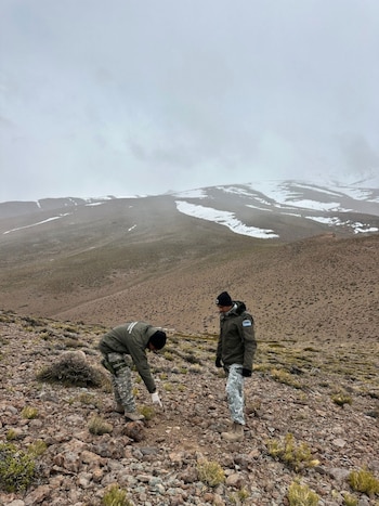 Descubrieron piezas arqueológicas durante una patrulla en alta montaña