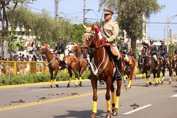 Soldados militares montados a caballo desfilan en una avenida. Los caballos llevan adornos en la cabeza y las patas. Hay árboles y público detrás