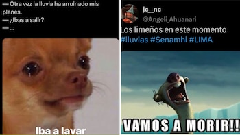 Los memes no faltaron por