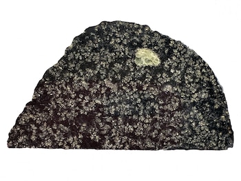 Primer plano de una sección del meteorito NWA 12774, mostrando una roca oscura y granulada con un prominente cristal de olivino de tono verde pálido en la parte superior
