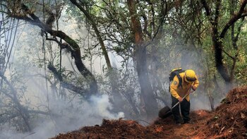 Por el momento no se