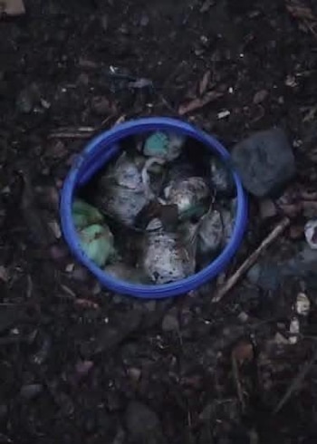 Los investigadores encontraron varios barriles enterrados bajo tierra en una zona montañosa. (Foto: Policía Nacional)