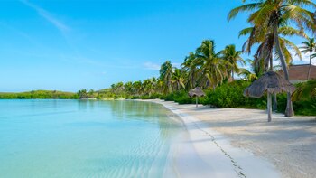 La pequeña isla de México que se encuentra a kilómetros de Cancún donde puedes vacacionar rodeado de aves y tortugas - Infobae