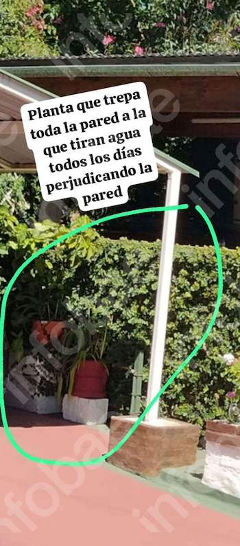 Denunció a los vecinos de al lado por hostigamiento, pero la Justicia rechazó la demanda y deberá pagar las costas del juicio