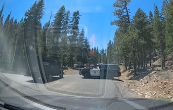 Carretera forestal con todoterreno negro y coche de policía estacionados, rodeados de pinos bajo cielo azul. Reflejos en el cristal