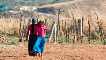 En México no existen estadísticas