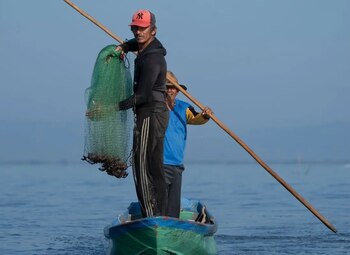 En contraste, el sector pesquero retrocedió 73,1% frente a mayo del 2025, debido principalmente a la reducción de 75,61% en la extracción de especies marinas.