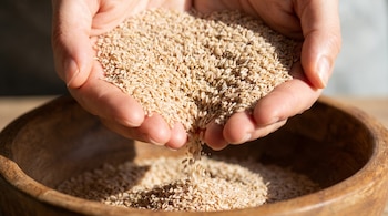 Detalle de dos manos limpias que sostienen y vierten semillas de psyllium de color beige claro en un cuenco de madera oscuro.