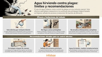 Infografía de agua hirviendo contra plagas, con una olla, insectos, grietas en pared, casa, cocina, un hombre sellando y una lista de limpieza y sellado.