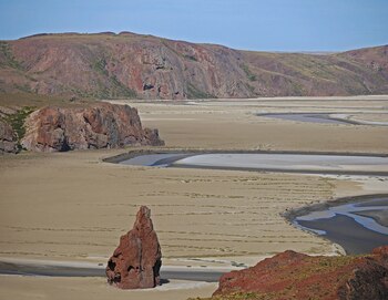 Crédito Campamento Darwin / Fotógrafo
