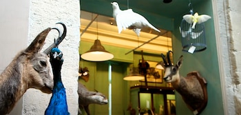 El incendio de 2008 devastó