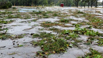Temporal - arboles - tormentas - Ciudad de Buenos Aires