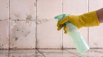 Mano enguantada de amarillo sujeta un pulverizador verde claro que rocía líquido sobre azulejos blancos con manchas de moho verdoso y negro.