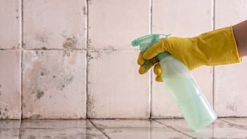 Por qué no debes usar cloro sobre el moho del baño: esta mezcla casera lo elimina de raíz