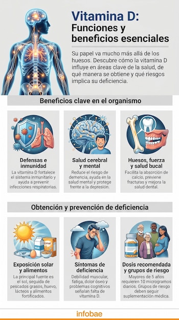 Infografía sobre la Vitamina D mostrando una figura humana con sistema nervioso, paneles ilustrados sobre defensas, cerebro, huesos, sol, alimentos, síntomas y dosis recomendada.