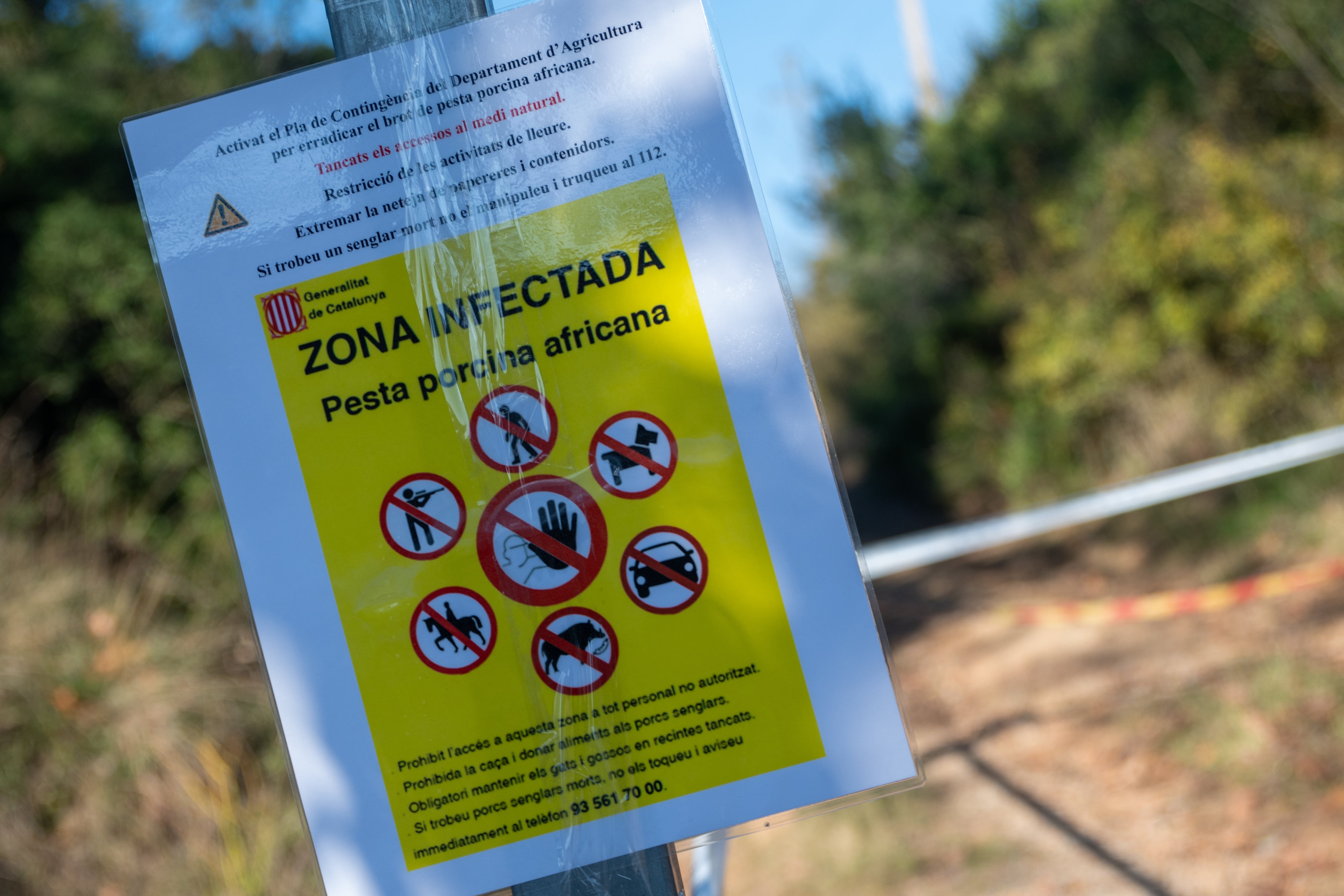 (Foto de ARCHIVO)
Un letrero advierte sobre una zona en cuarentena por la Peste Porcina Africana en Cerdanyola del Vallès, Barcelona, el pasado diciembre. Lorena Sopêna / Europa Press
01/12/2025