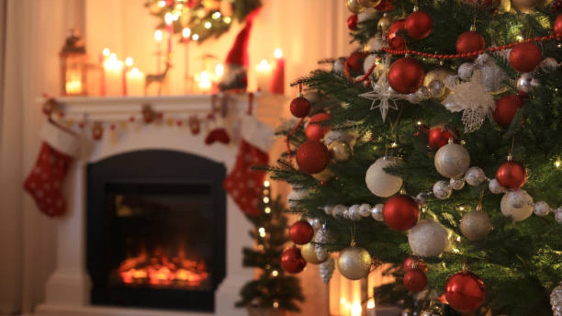Las mejores opciones para adornar en Navidad. Foto: (iStock)