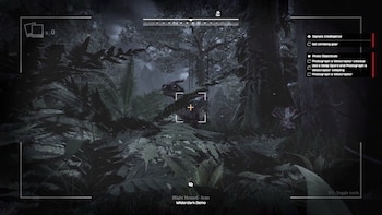 Wilderdark, de Team Junkfish