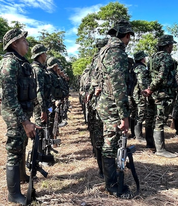 La Paz Total sumó un nuevo paso en el sur del país con el traslado de la disidencia Cneb a una zona de preconcentración en Valle del Guamuez - crédito Consejería de Paz