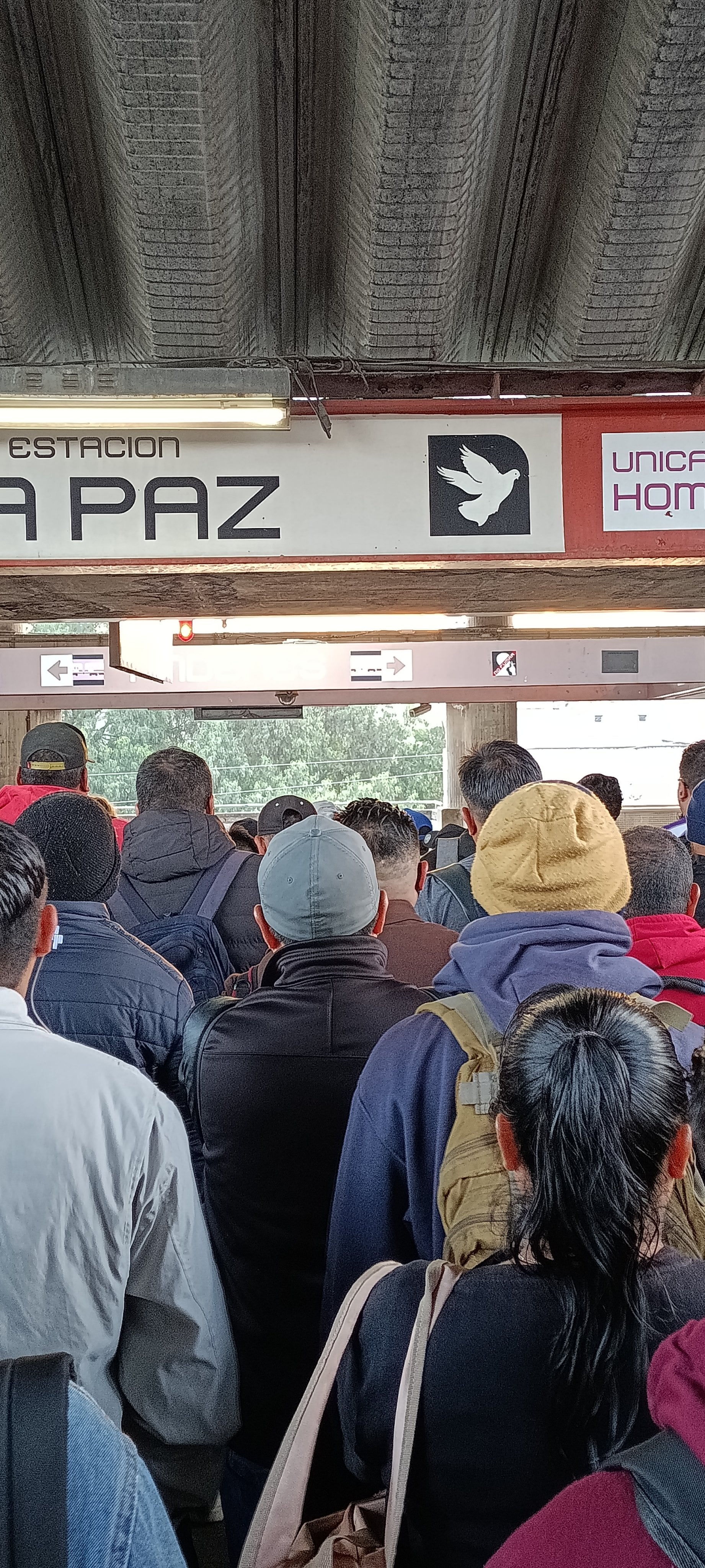 Avance en tiempo real de las diferentes líneas de la red de transporte público capitalino. (Redes sociales)