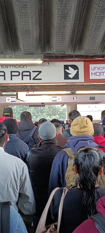 Avance en tiempo real de las diferentes líneas de la red de transporte público capitalino.