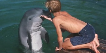 Flipper, el delfín nariz de