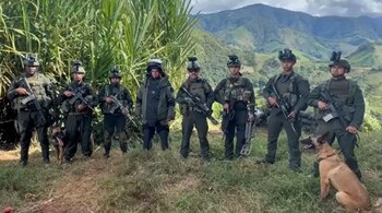 Explosivos fueron desactivados en El