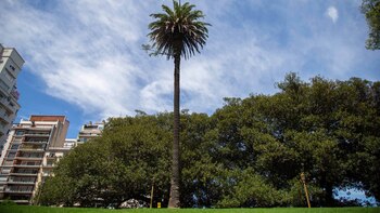 Día del Guardaparques de la