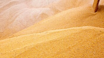 En Chaco, un trabajador quedó