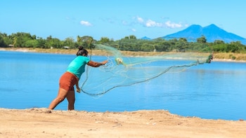 La normativa en vigor extiende las atribuciones ministeriales para intervenir en casos de riesgos sanitarios, regular el intercambio de bienes biológicos y combatir prácticas fraudulentas relacionadas con productos alimenticios (Foto cortesía MAG)