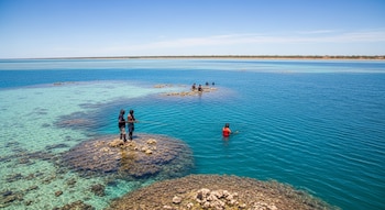 Ocho personas pescan y nadan en aguas turquesas con formaciones coralinas expuestas y una línea de costa visible bajo cielo azul.
