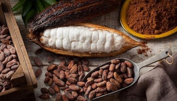 Los envíos al exterior de cacao y productos derivados aumentaron de USD 304 millones en 2021 a USD 1.619 millones durante 2025.