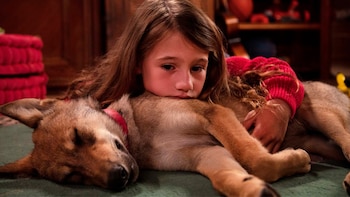 Gran parte de la historia