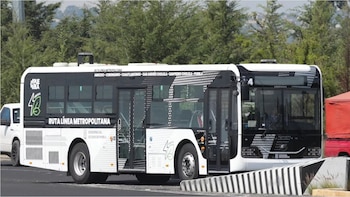 Servicio será gratuito