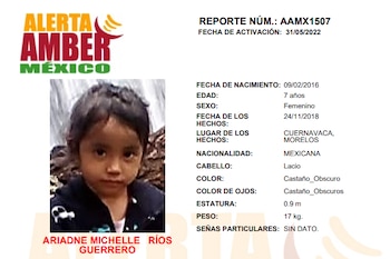 Ariadne Michelle (Alerta Amber)