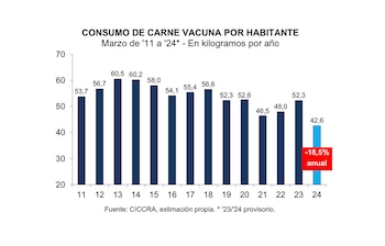 El consumo de carne por