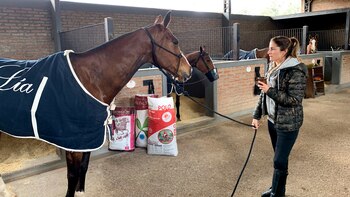 En la caballeriza de Pilará
