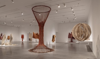 Imagen BBOM7FNFSFCKBLTRBOLVKEOGZE