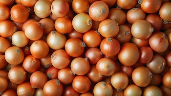 Imagen de archivo de cebollas.