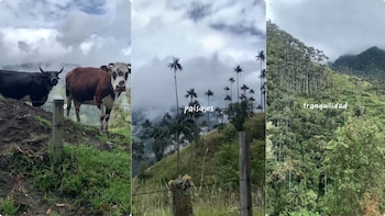 En el recorrido se encuentran
