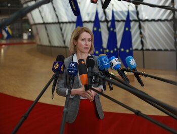 La alta representante de la