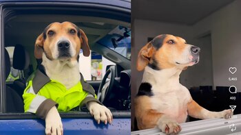 La historia de Adolfo: el